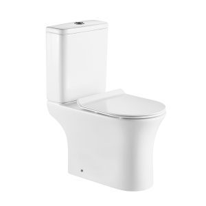 power flush toilet