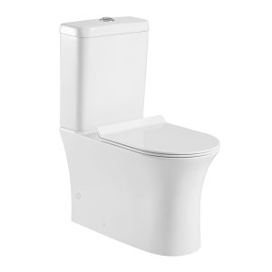 ceramic floor mounted western toilet