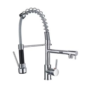 kitchen faucet with sprayer