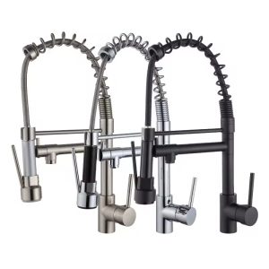 kitchen faucet with sprayer